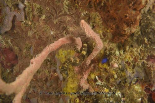 20180117 184652 2174