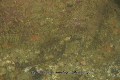 20180117 185017 2175