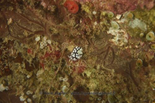 20180117 185118 2176