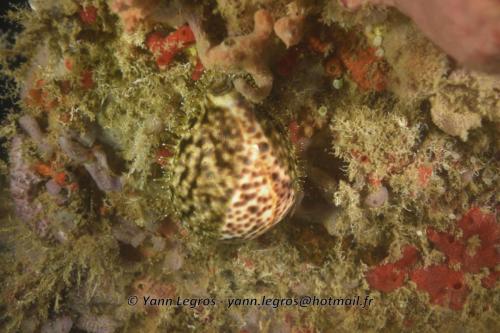 20180117 185402 2177