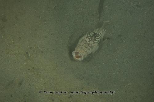 20180117 185719 2178