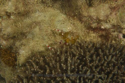 20180117 190136 2179