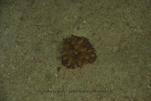 20180117 190529 2180