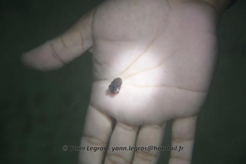 20180117 190706 2181