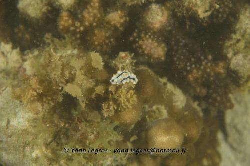 20180117 190804 2182