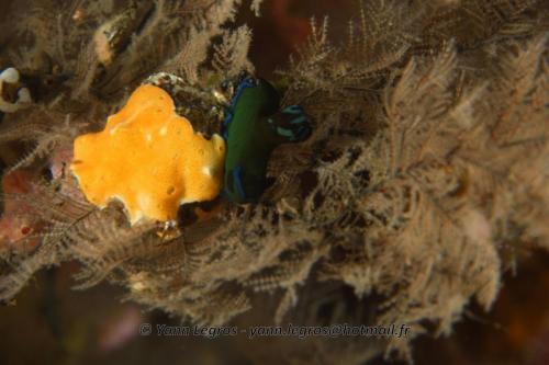 20180118 091847 2184