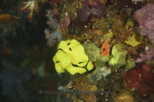 20180118 092447 2185