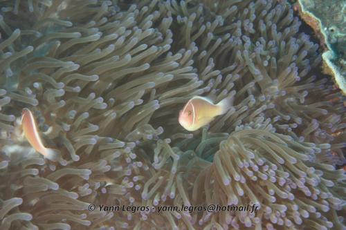 20180118 093042 2186