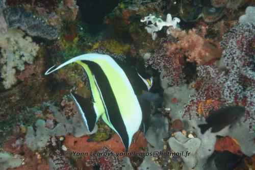 20180118 093229 2187