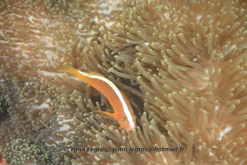 20180118 093428 2188