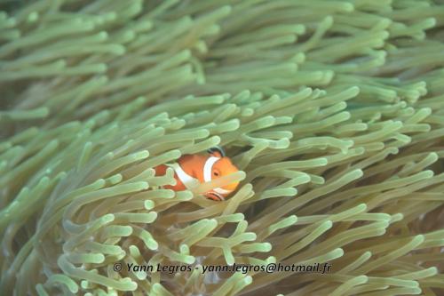 20180118 094556 2189