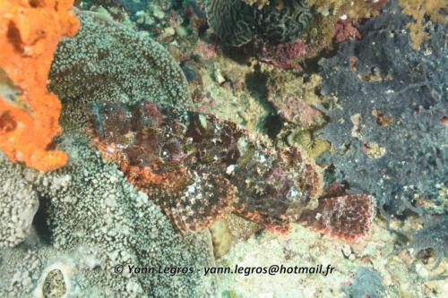 20180118 094819 2190