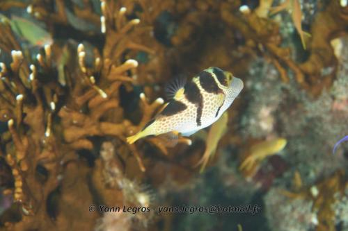 20180118 094926 2191