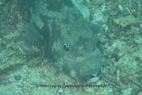 20180118 095256 2192