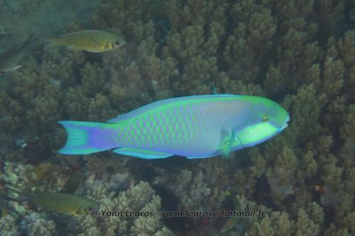 20180118 095632 2193