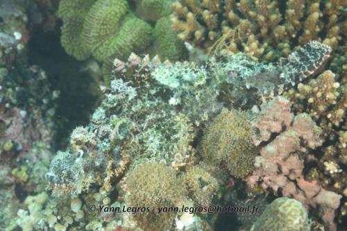 20180118 100034 2194