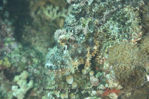 20180118 100043 2195