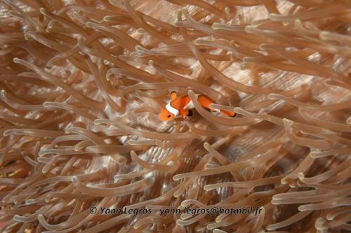 20180118 114057 2196