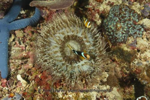 20180118 114302 2197