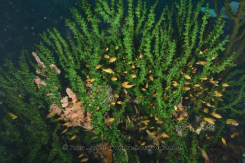 20180118 114616 2198