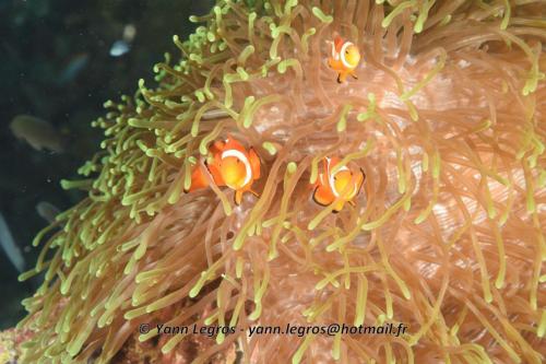 20180118 114706 2199