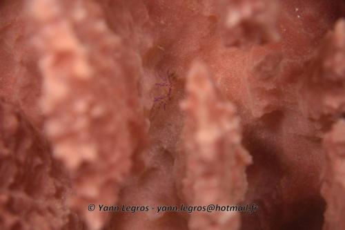 20180118 114857 2200