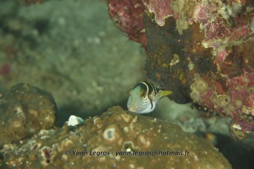 20180118 115017 2201