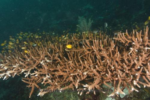 20180118 115107 2202