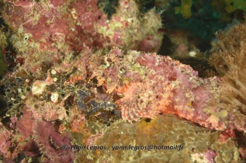 20180118 115249 2203