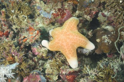 20180118 120228 2205