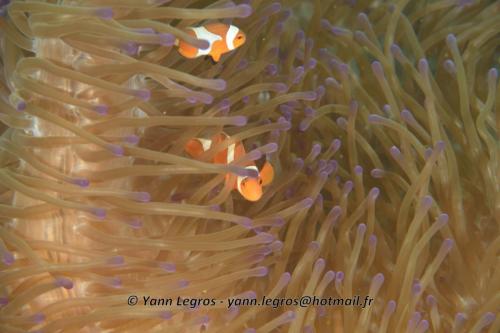 20180118 120305 2206