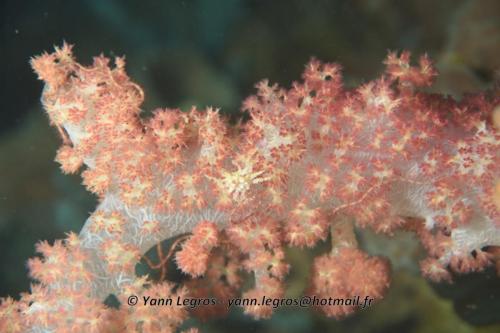 20180118 120627 2207