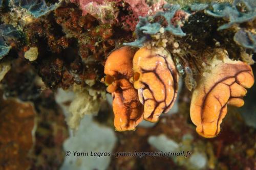 20180118 120823 2208