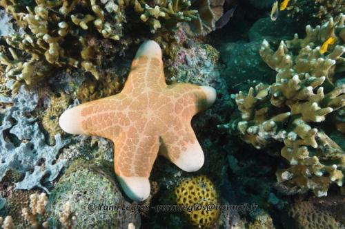 20180118 121157 2209