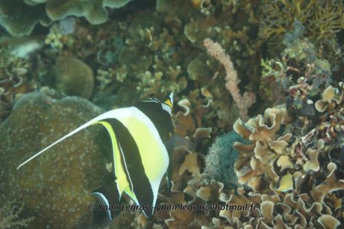 20180118 121301 2210