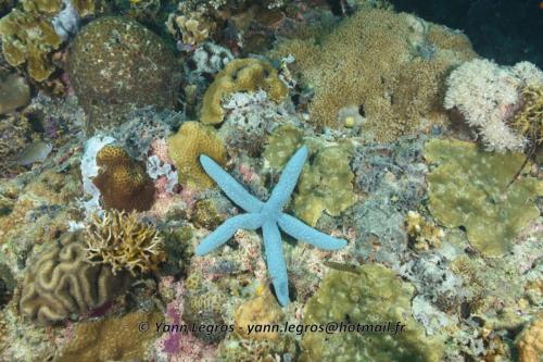 20180118 121323 2211