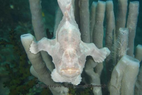 20180118 121532 2212