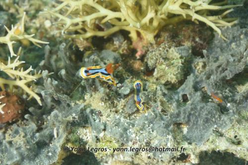 20180118 122401 2213