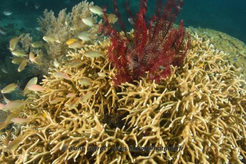 20180118 122456 2214