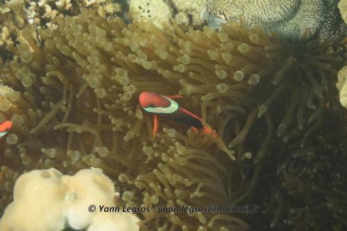 20180118 122601 2215