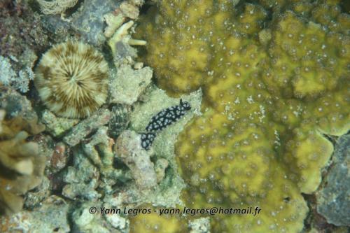 20180118 122805 2216