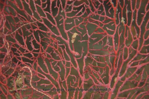 20180118 180244 2217