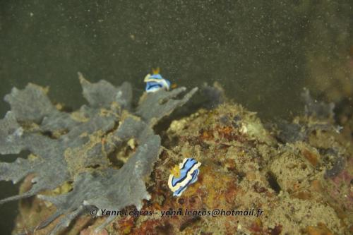 20180118 180820 2218