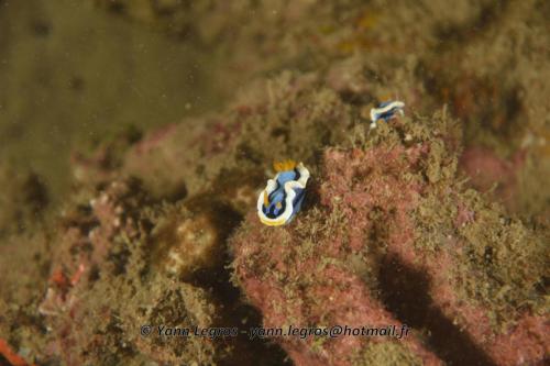 20180118 180908 2219