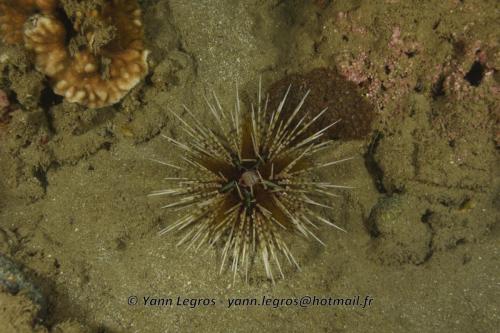 20180118 181035 2220