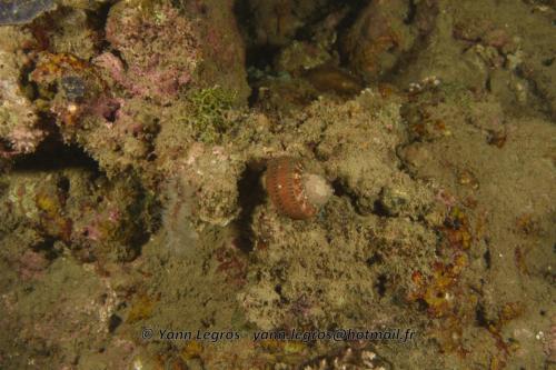 20180118 181301 2221