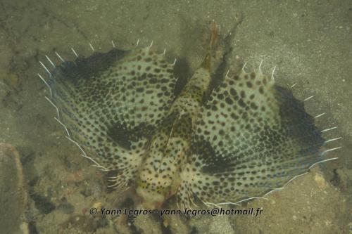 20180118 181356 2222