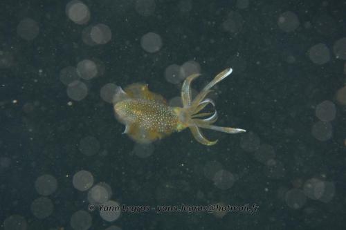 20180118 181710 2223