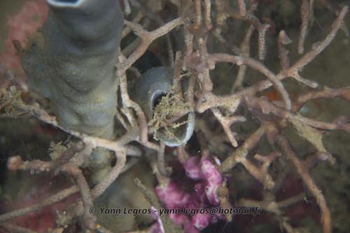 20180118 182125 2224