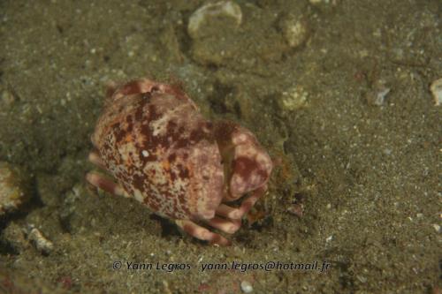 20180118 182308 2225